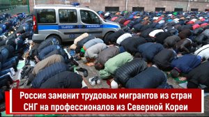 Россия заменит трудовых мигрантов из стран СНГ на профессионалов из Северной Кореи