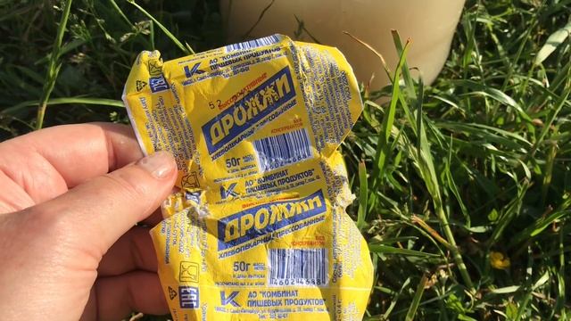 КАК ЗАСТАВИТЬ ОГУРЦЫ ПЛОДОНОСИТЬ?! // правильная подкормка смотреть онлайн