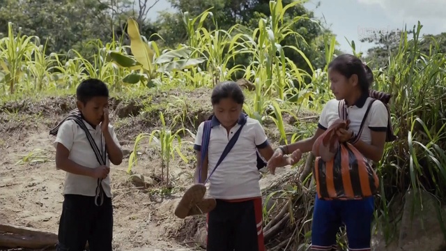 Дорога в Школу. Мексика. Луз Мария смотреть онлайн