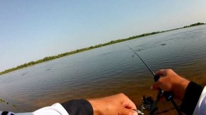 Мормышинг на большой реке. Окунь и голавль на силиконовые приманки NIKOLAICH MICRA.