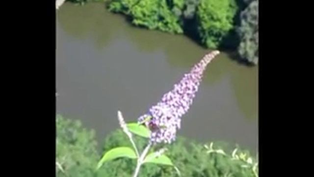 La Roque Gageac смотреть онлайн