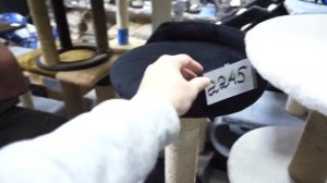 VLOG Покупки в зоомагазине. Подарок от зубного врача. Купание