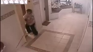 Собака и лифт