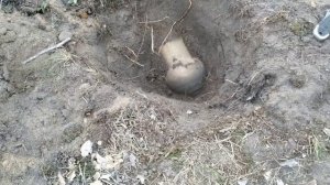 ЗОЛОТО В КУВШИНЕ! ЛЕСНОЙ КЛАД 2019 ГОДА!