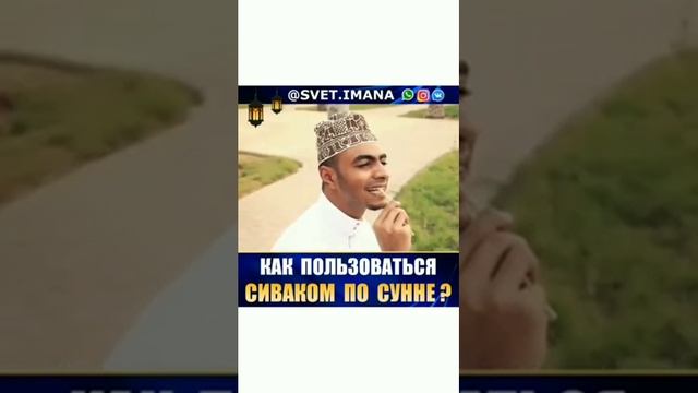 Как пользоваться сиваком по сунне. смотреть онлайн