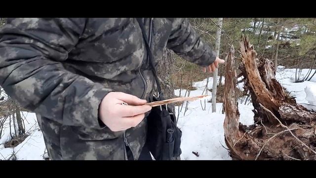 Природный розжиг. Замена газу бензину и солярки! Как разжечь костёр быстро! смотреть онлайн