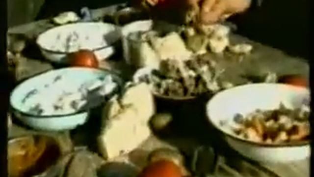 Значение кальция в нашей жизни 3-3 смотреть онлайн