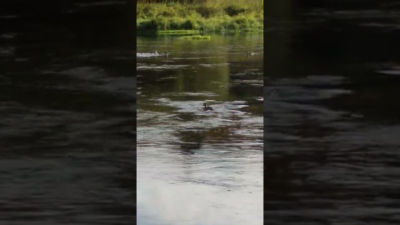 25 сентября 2022 г. смотреть онлайн