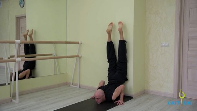 Хатха йога интегральный тренинг смотреть онлайн