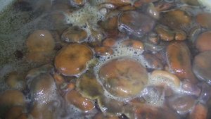 Как засолить рыжики