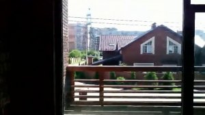 Обзор Одинцово! Новая Трехгорка!