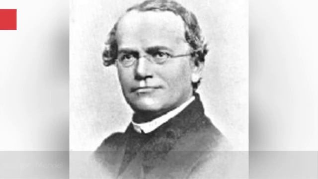 Famous Scientists From Austria 📌