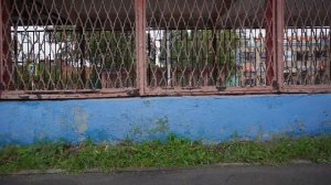 Сиреноголовый против Скибиди туалета и камера мена в реальной жизни