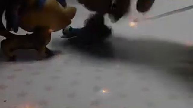 Мой жирный кот смотреть онлайн