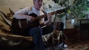 красивая песня под гитару Манапов Ярослав  Стоп стоп музыка (Cover)