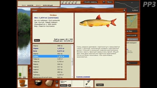 Нерка Нейва Поморник Кухтуй  / РР3 [Русская Рыбалка 3 Гренландия]