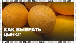 Эксперты рассказали, как выбрать дыню - Москва 24