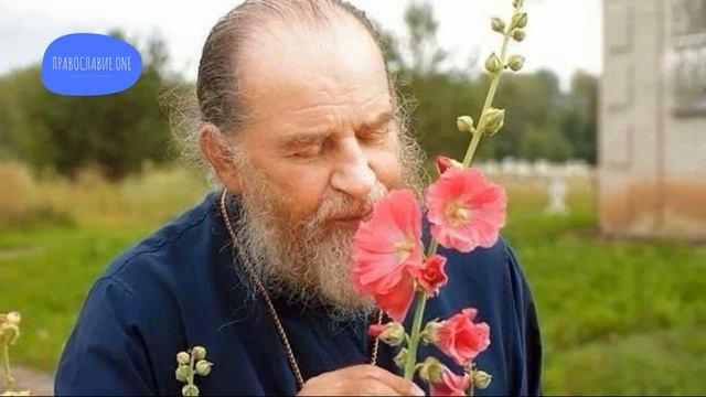 _Последнее покаяние и деревянное сердце_ - архимандрит Амвросий Юрасов смотреть онлайн