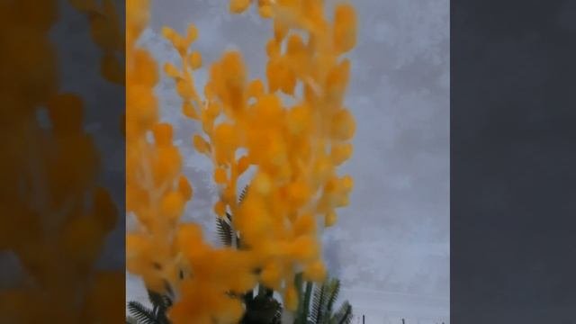 Цветы искусственные Мимоза