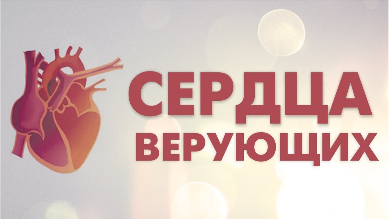 Сердце христианина сердце мусульманина. Сердцах правоверных. Сердце христианина сердце мусульманина Мем.