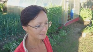 Видео привет с 6 соток 7 июля 2024 года.