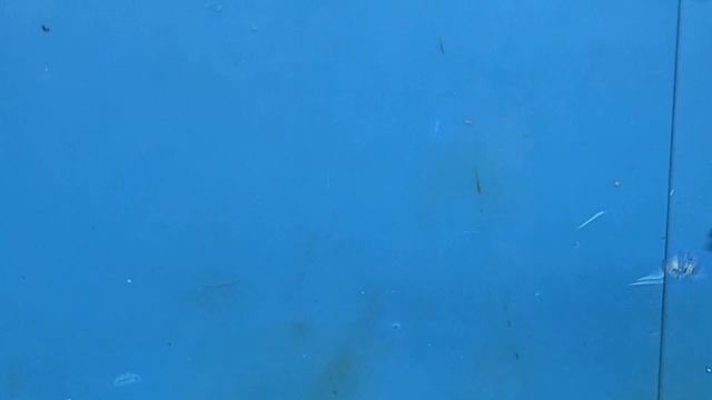 Обучающее видео пайке разъема type-c. Как паять правильно!