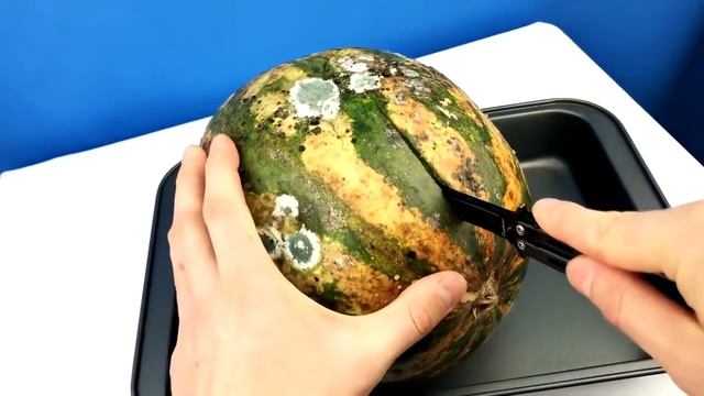 ШОК АРБУЗ ПРОЛЕЖАЛ 1 ГОД НА ДНЕ МОРЯ МОЖНО ЛИ КУШАТЬ смотреть онлайн