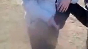 Мне одна дура целует ногу...