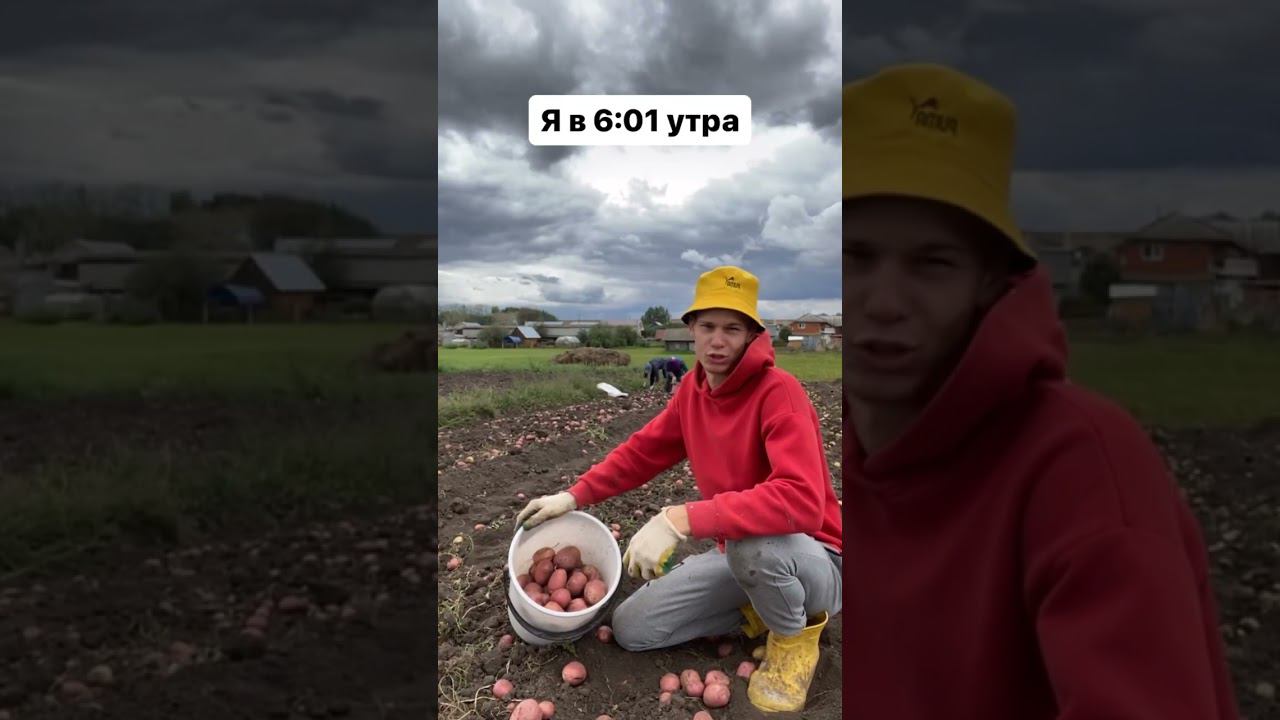 Будни в деревне разные Кто-то отдыхает, кто-то работает смотреть онлайн