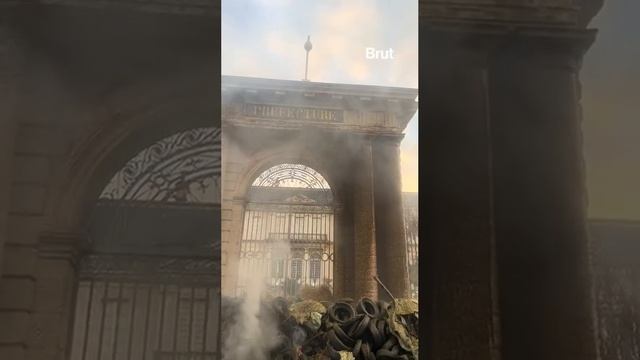 Фермеры продолжают заливать Париж дерьмом смотреть онлайн