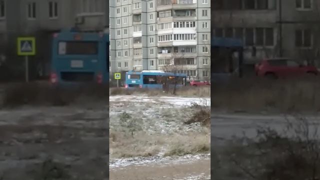 Автобусы "Транспорта Верхневолжья" на конечной.