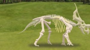 Dinosaur bones found 9 | Archelon, Einiosaurus, Jinzhousaurus, Megalosaurus, Piatnitzkysaurus | 공룡