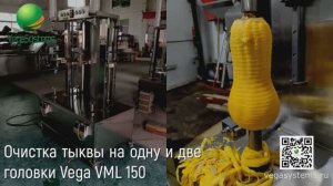 Машина для ножевой очистки тыквы, ананаса, кабачка и других овощей  Vega VML-150 две головки