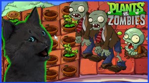 Супер Кот и Растения против зомби #24 ЗОМБИ ЗАБРАЛИСЬ НА КРЫШУ ДОМА 🐱 Plants vs Zombies #696