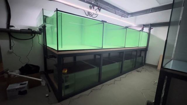 Как работает подсветка аквариума-  Led светильники Chihiros