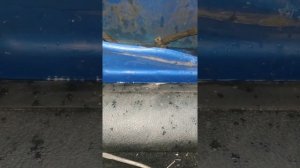 Вода в салоне Golf 4