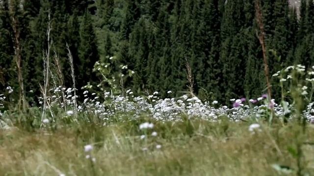 Озеро Серебряное копытце