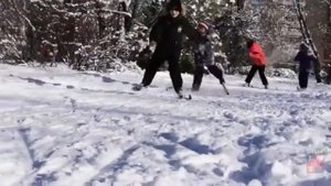 Немчиновский лицей