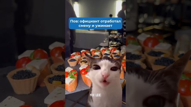 @rlcater — вкусные блюда и весёлая атмосфера! ?️ #фуршет #банкет #кейтеринг #food #кейтерингмосква