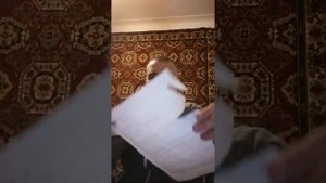 Нож на заказ из кованой нержавеющей стали 95х18