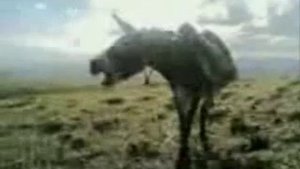 азербайджанский мугам