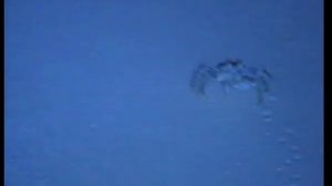 Royal Island Resort & SPA, Maldives