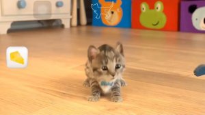 Мой Маленький Котёнок Сборник ЛУЧШИХ СЕРИЙ Мультик игра для детей