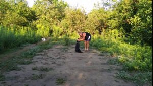 Как правильно приучить лабрадора выполнять команду ко мне!