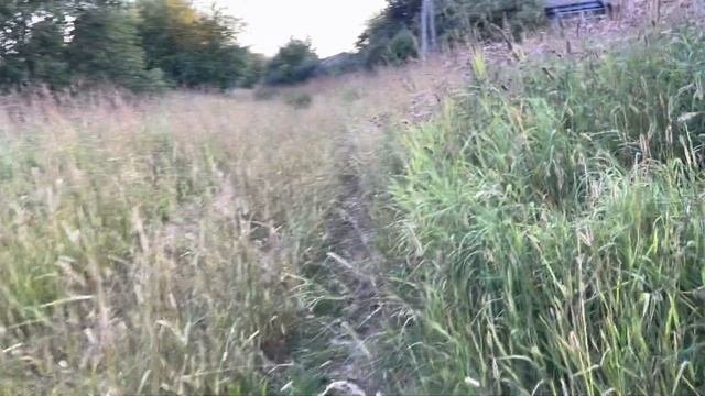 Заброшенная деревня Брежнево Ульяновского района Калужской области 2 часть