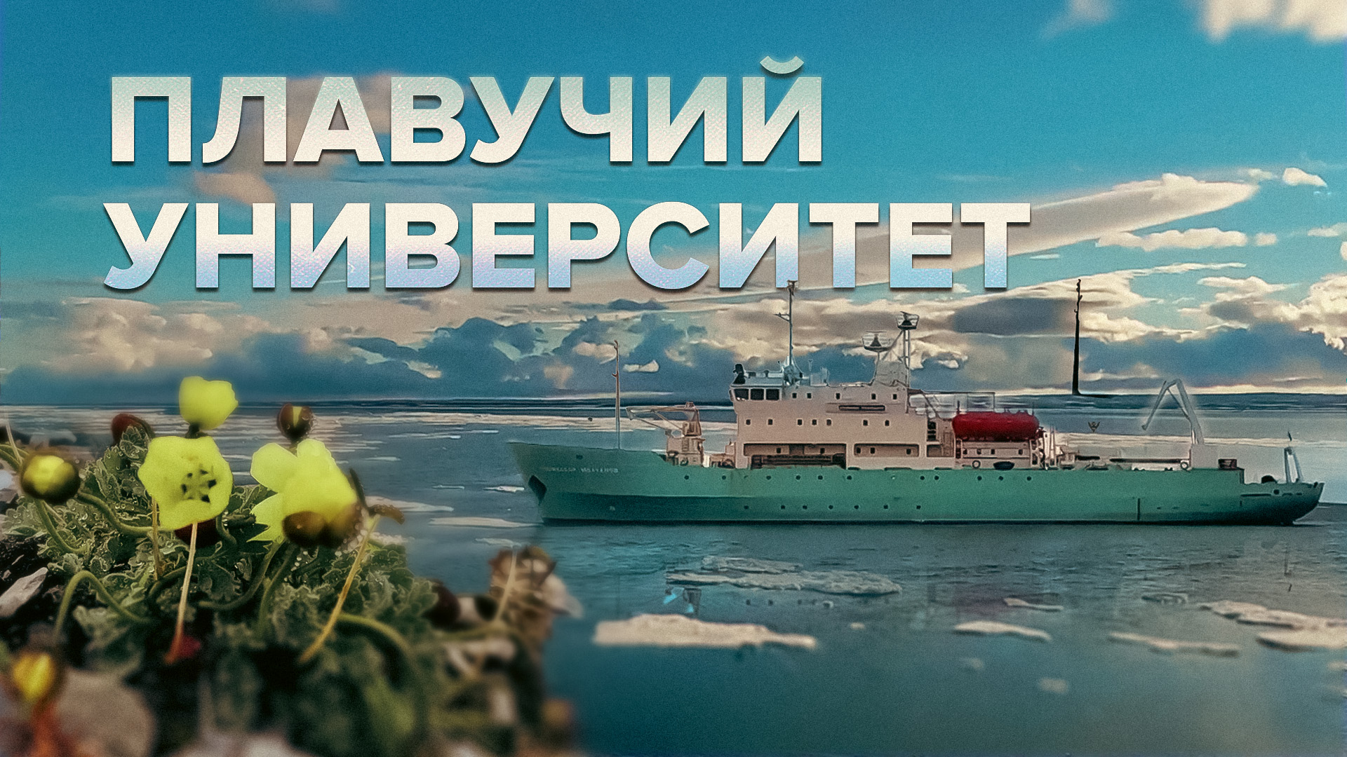 «Меняющаяся Арктика»: российские студенты вместе с учёными вернулись из экспедиции
