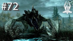 The Elder Scrolls V: Skyrim #72. Заговор изгоев