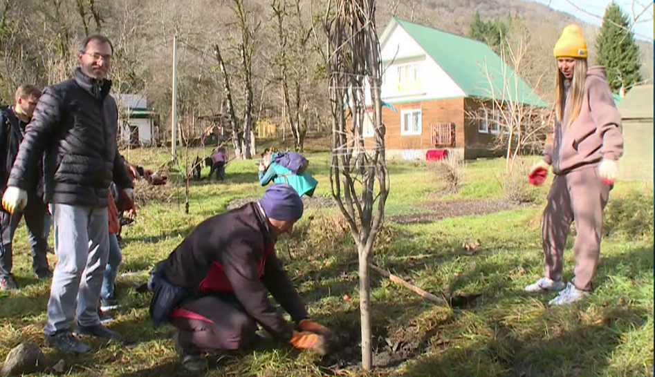 В горах Сочи волонтеры и сотрудники Кавказского заповедника высадили 100 плодовых деревьев смотреть онлайн