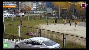 В Нижневартовске бультерьер напал на детей