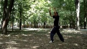 Ушу. Комплекс. Шест